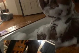 your biggest fantasy ready for fun 💕😩 - Image 6